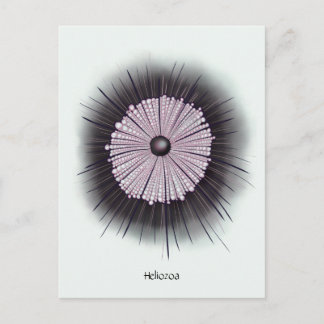 Carte Postale Art numérique Geek de microbiologie Heliozoa