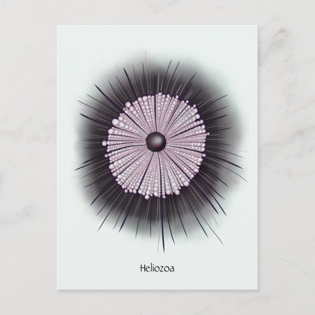 Carte Postale Art numérique Geek de microbiologie Heliozoa (Devant)