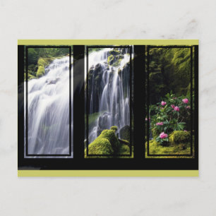 Carte postale Art numérique Triptyque Jungle Water