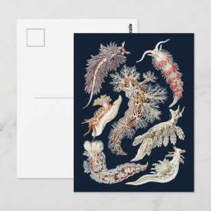 Carte Postale Art océanique vintage de Nudibranche de Haeckel