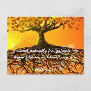 Carte Postale Art original - Perdu Grungé Belle Élégante