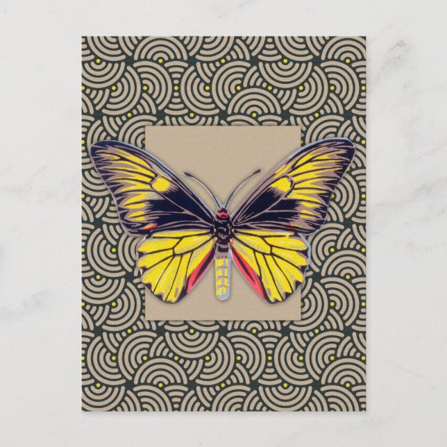 Carte Postale Art papillon vintage (Devant)