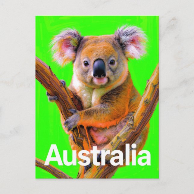 Carte Postale Art Pop Australien Koala (Devant)