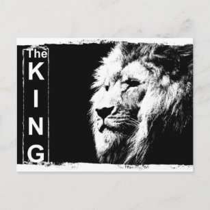 Lion Noir Blanc Cartes postales Pas de quantit minimum Zazzle FR