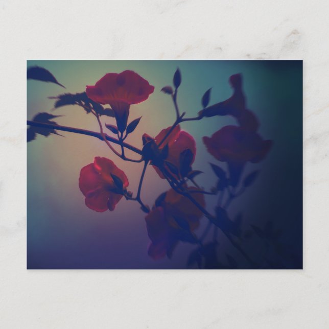 Carte Postale Art Postcard ”Cinematic ＆ Noir” (Devant)