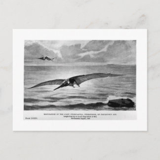 Carte postale art Pteranodon