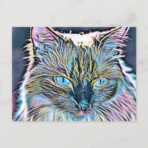 Carte Postale Art Ragdoll