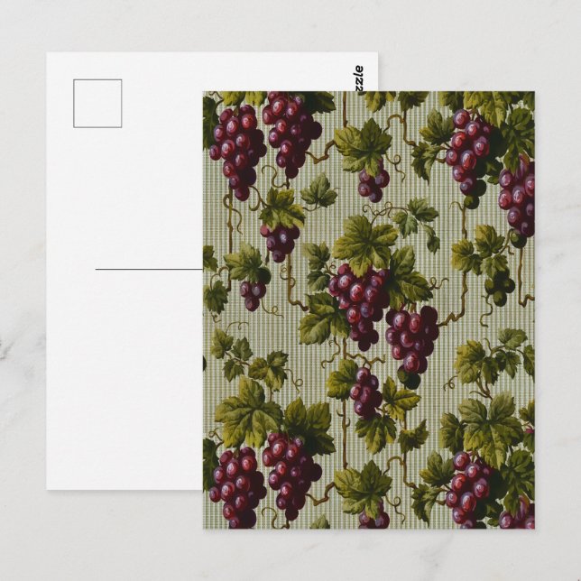 Carte Postale Art rustique de vigne de vignoble de campagne fran (Devant / Derrière)
