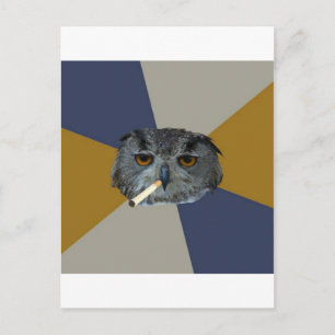 Carte Postale Art Student Owl Advice Animal Meme