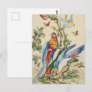 Carte Postale Art Tropical Antique de Perroquet et Papillon de G