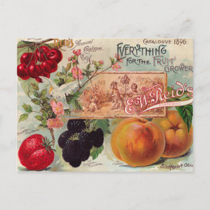 Carte postale Art Vintage Garden Orchard Fruit