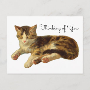 Carte Postale Art vintage victorien Chat qui fait la sieste Pens