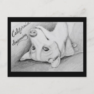 Carte Postale Artaius le Corgi