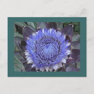 Carte postale Artichoke Bloom