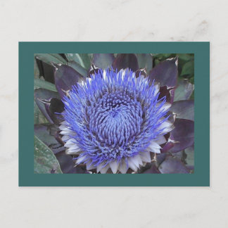 Carte postale Artichoke Bloom