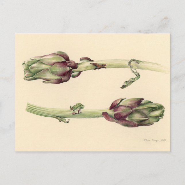 Carte Postale Artichokes 2005 (Devant)