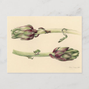 Carte Postale Artichokes 2005