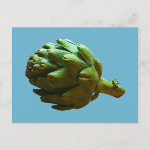 Carte Postale Artique