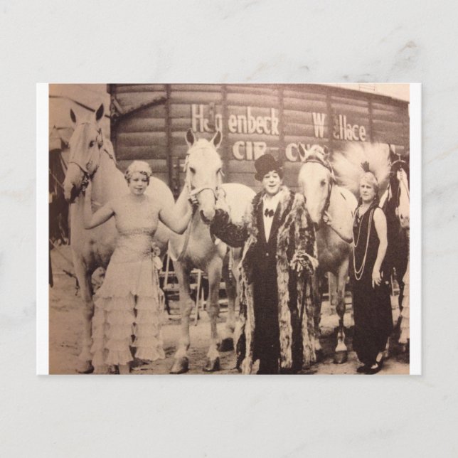 Carte Postale Artistes du cirque et Chevaux blancs (Devant)