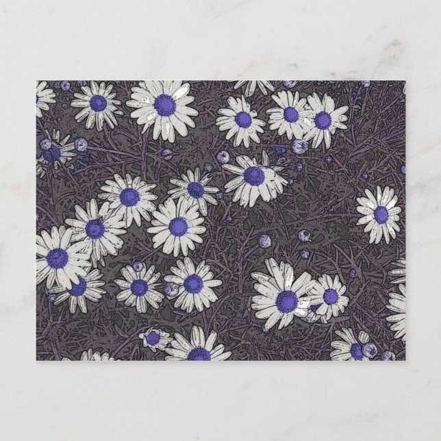 Carte Postale Artsy Daisies (Devant)
