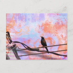 Carte Postale Artsy Grackle