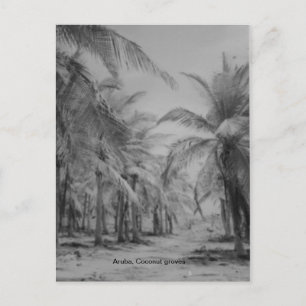 Carte Postale Aruba, cocotiers