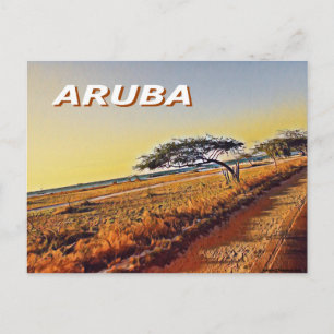 Carte Postale Aruba - Divi Divi Trees