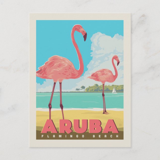 Carte Postale Aruba | Flamant rose Beach (Devant)