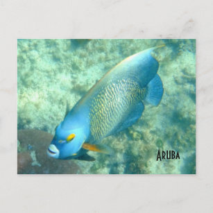 Carte Postale Aruba Photo sous-marine de Fish