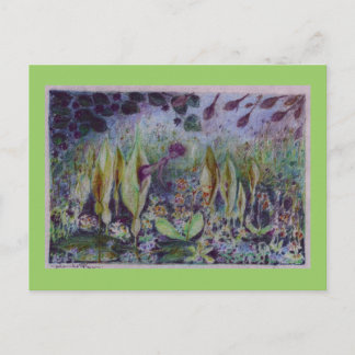 Carte Postale arum elfe