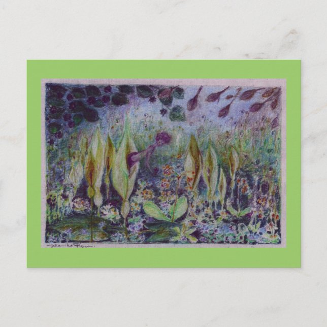 Carte Postale arum elfe (Devant)