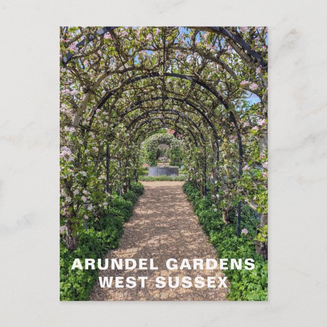 Carte Postale Arundel Gardens au printemps, ouest du Sussex Phot (Devant)