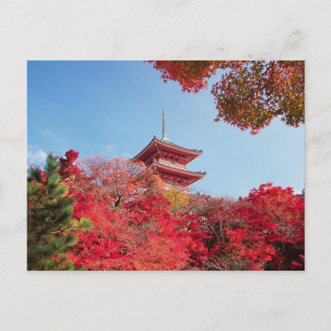 Carte Postale Asia, Japan, Kyoto. Autumn Colour (Devant)