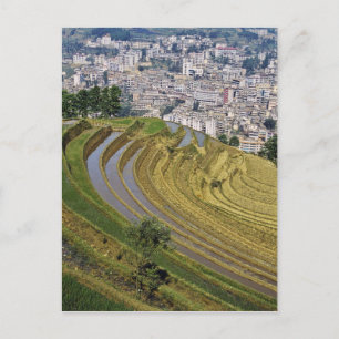 Carte Postale Asie, Chine, province du Yunnan, Jinping. Jinping