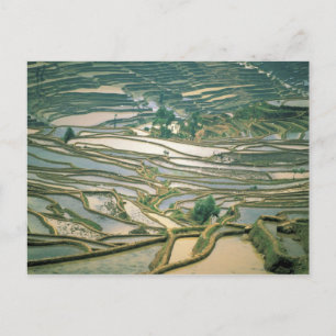 Carte Postale Asie, Chine. Terrasses de riz inondées près de Nan