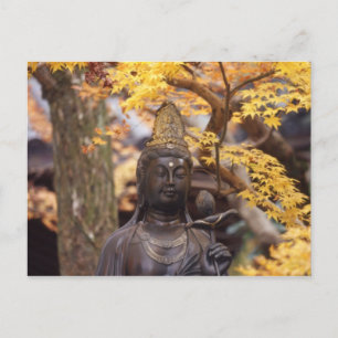 Carte Postale Asie, Japon, Bouddha