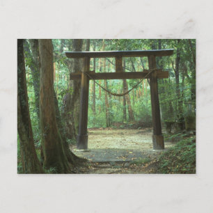 Carte Postale Asie, Japon, Kagoshima, Yakushima, Montagne