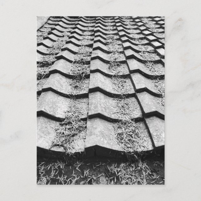 Carte Postale Asie, Japon, Miyajima. Détail du toit en terre (Devant)