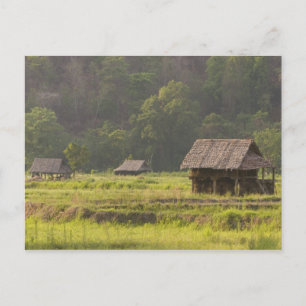 Carte Postale Asie, Thaïlande, Mae Hong Son, Huttes à riz dans l