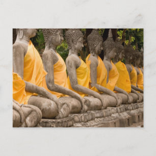 Carte Postale Asie, Thaïlande, Siam, Bouddhas à Ayutthaya