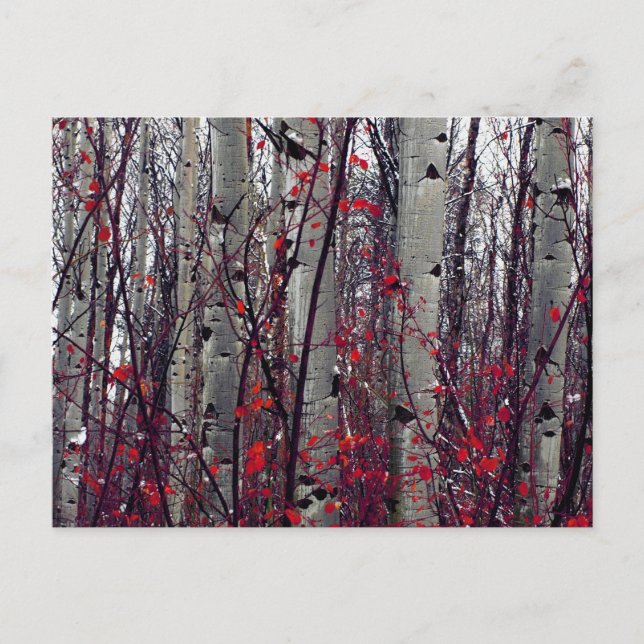 Carte Postale Aspect automnal (Devant)