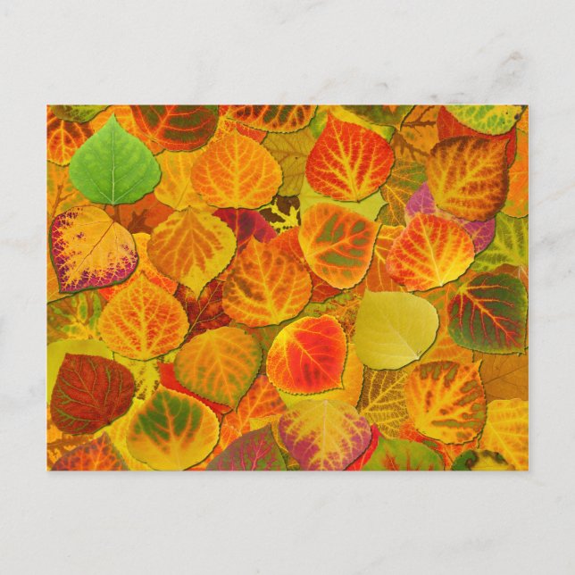 Carte Postale Aspen Feuilles Collage Solid Medley 1 (Devant)