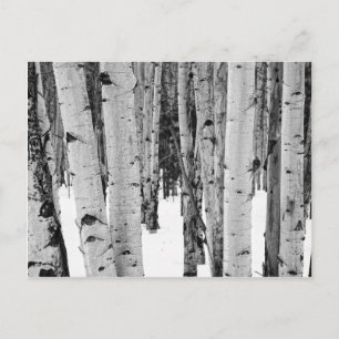 Carte Postale Aspens