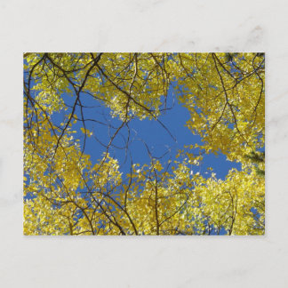Carte postale Aspens