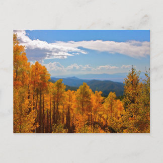 Carte Postale Aspens au Nouveau-Mexique