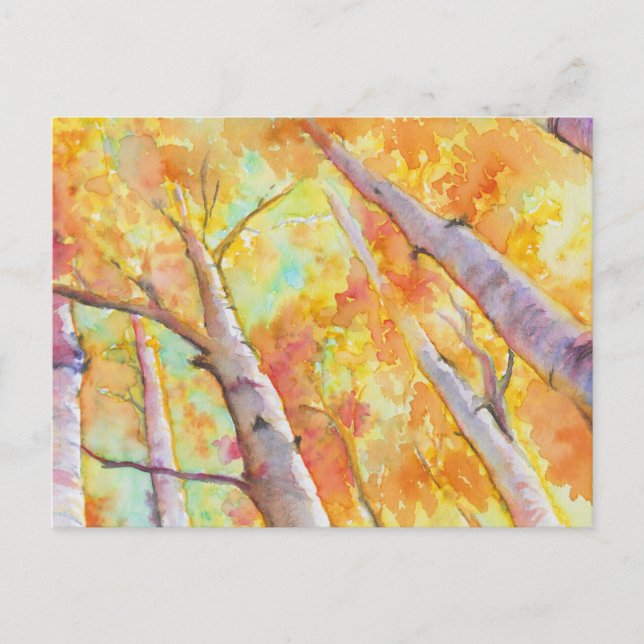 Carte Postale Aspens d'automne (Devant)
