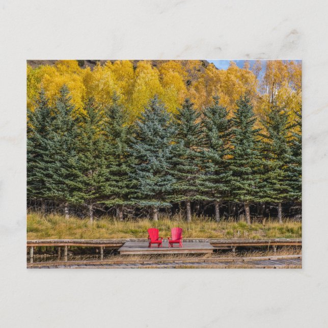 Carte Postale Aspens d'automne (Devant)