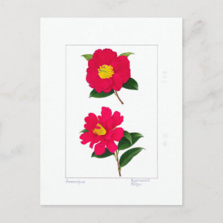 Carte Postale Assemblage Sasanqua : Ryomenko & Hiryu