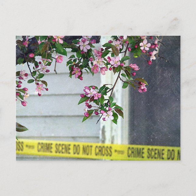 Carte Postale Assez laid (Devant)