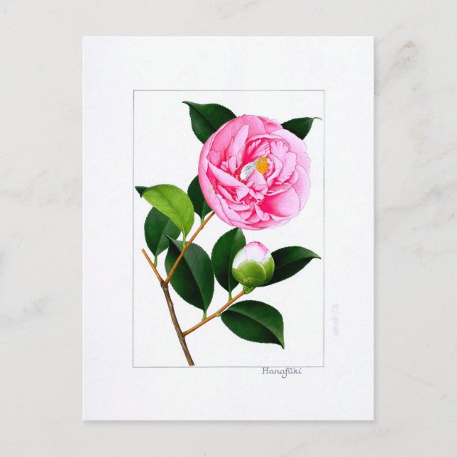 Carte Postale Assiette Camellia : Hanafuki (Devant)